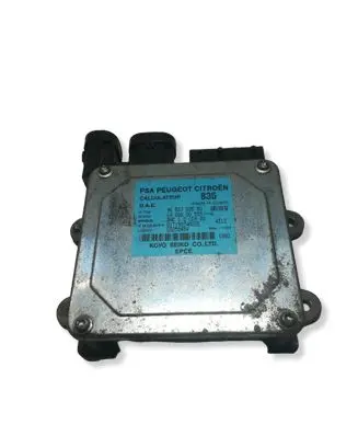 Citroen C3 Power steering control unit/module 9653783580 G025545A 6900000555