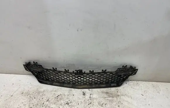 Mercedes-Benz C W204 Front bumper lower grill A2048851324