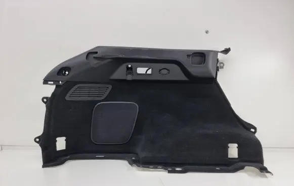 Lexus RX 450H Trunk/boot side trim panel 6434948060
