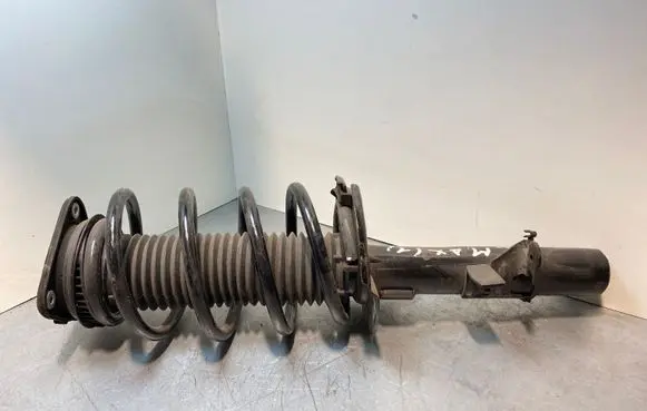 Ford C-MAX II Front shock absorber/damper BV6118K001LAB