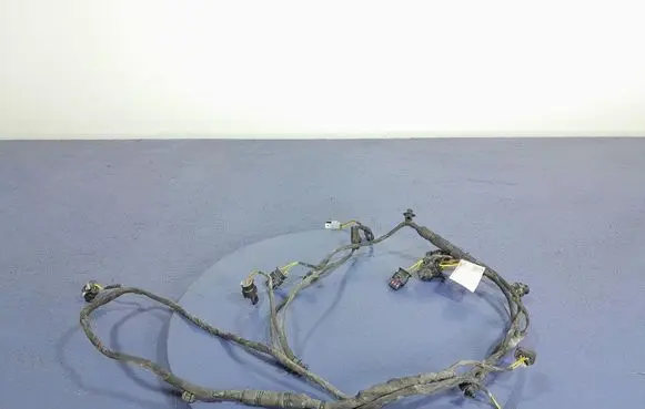 BMW X5 E53 Other wiring loom 8736607