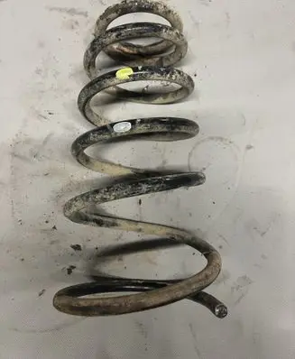 Rear coil spring