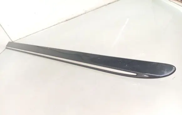 Mercedes-Benz R W251 Front door trim (molding) A2516902162