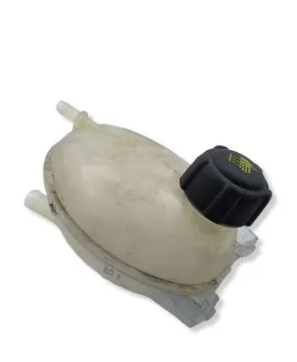 Renault Clio IV Coolant expansion tank/reservoir 217100680R