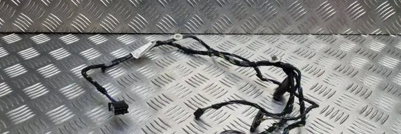 Mercedes-Benz B W245 Front door wiring loom A1695407705 982661100