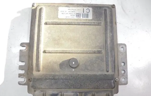 Suzuki Grand Vitara II Engine control unit/module ECU 33920-66J80