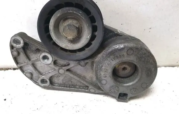 Porsche Cayenne (9PA) Timing belt/chain tensioner E6920A110540