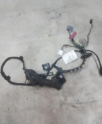 Front door wiring loom