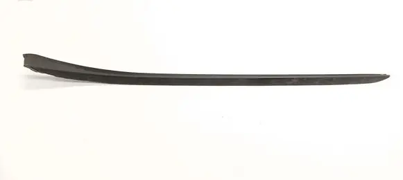 BMW X1 F48 F49 Windshield trim 7350609