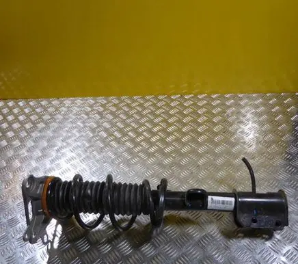 Fiat 500X Rear shock absorber with coil spring 00520258430