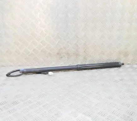 Lexus RX 450H Tailgate/trunk strut/damper 6892048031