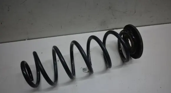 Rear coil spring