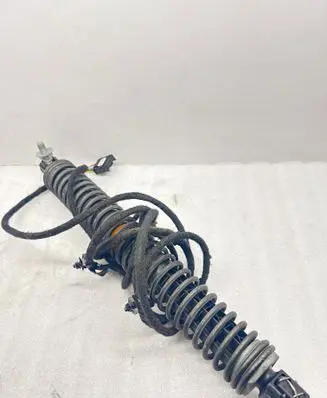 Tailgate strut