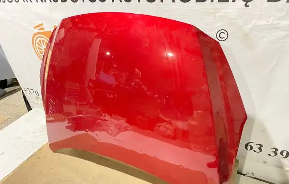 Engine bonnet/hood