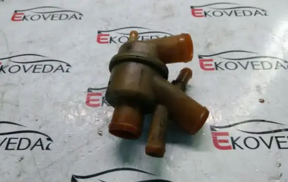 Thermostat/thermostat housing