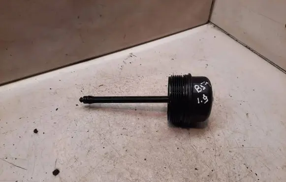Volkswagen PASSAT B5.5 Oil filter cover 038115433