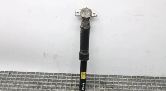 Opel Mokka Rear shock absorber/damper 95367160