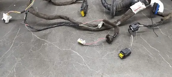 Renault Scenic II - Grand scenic II Rear door wiring loom 