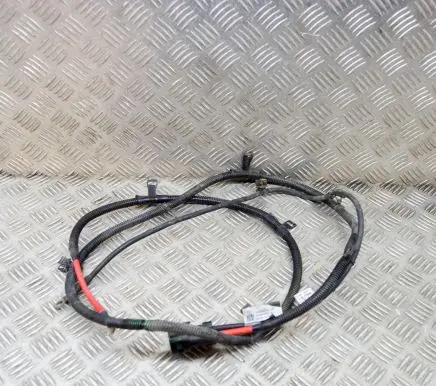 Tesla Model S Other wiring loom 101130100C