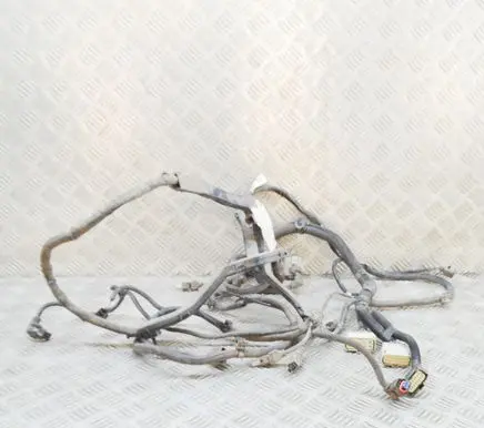 Tesla Model X Other wiring loom 203244805C
