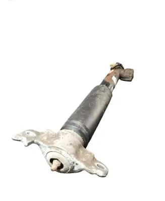 Opel Insignia A Rear shock absorber/damper 13319753