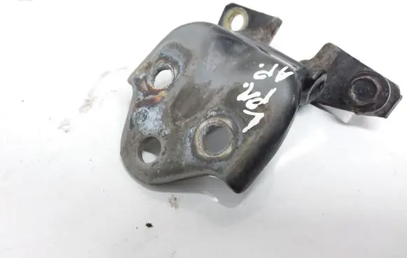 Mitsubishi Pajero Sport I Front door lower hinge 