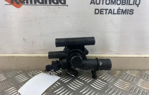 Thermostat/thermostat housing