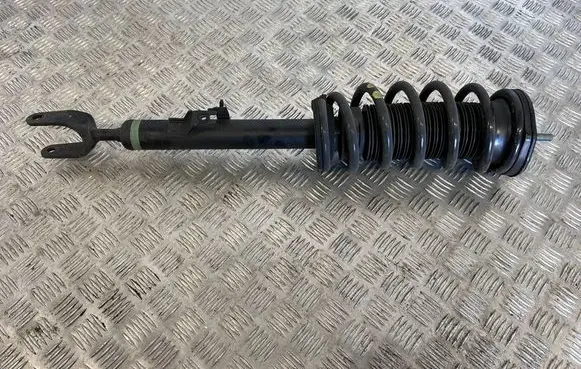 Toyota Mirai II Front shock absorber/damper 4851062020