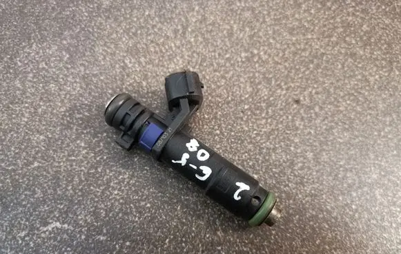 Citroen C5 Fuel injector FDB7015 8164N06133