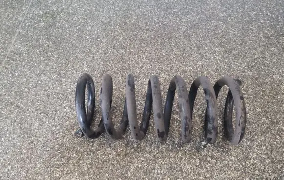 Chevrolet Captiva Rear coil spring