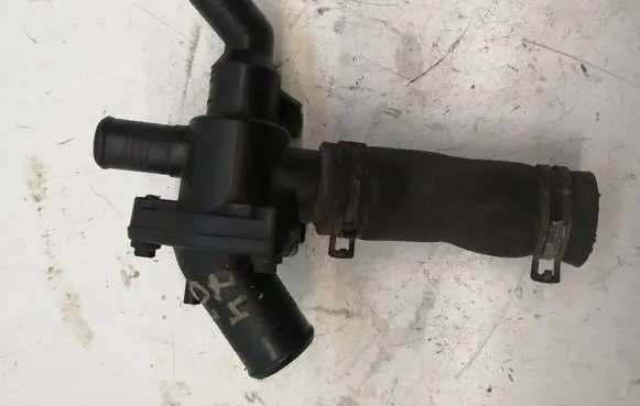 Thermostat/thermostat housing