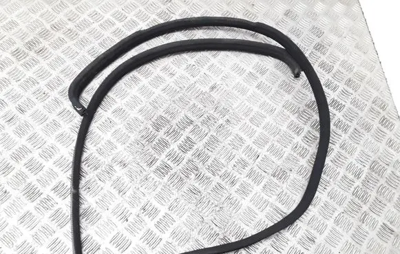 Mercedes-Benz E W124 Front door rubber seal
