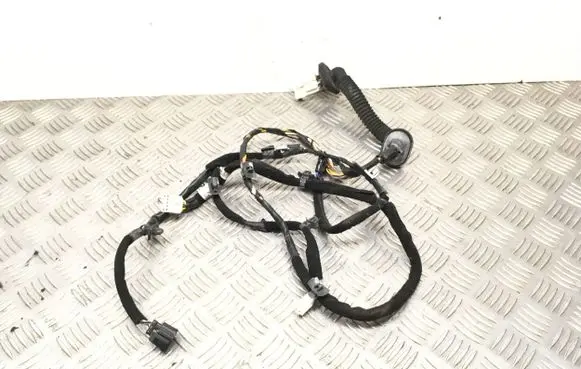 Hyundai Trajet Rear door wiring loom 916503A031 060109D0012 R916503A03103