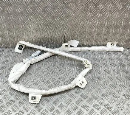 Mercedes-Benz CLS C218 X218 Roof airbag A2188600202