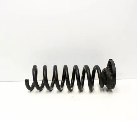 Mercedes-Benz C W205 Rear coil spring