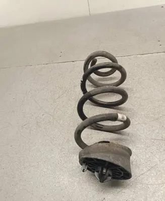 Rear coil spring