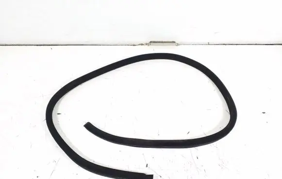 Mercedes-Benz CL C216 Front door rubber seal A2166970151