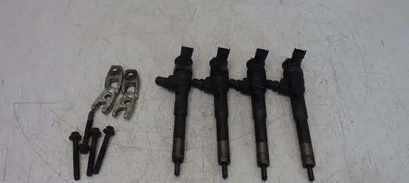Renault Kangoo II Fuel injectors set 0445110652