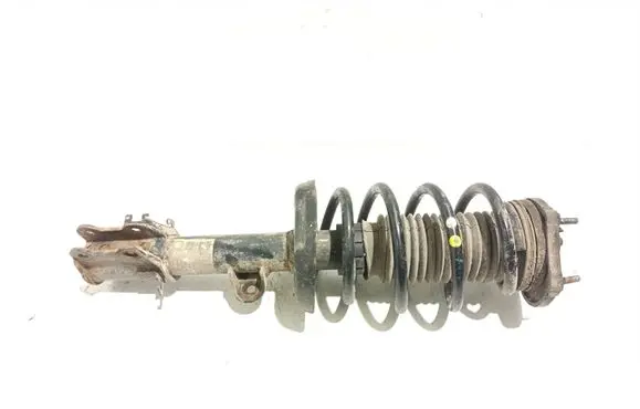 Fiat Doblo Front shock absorber with coil spring