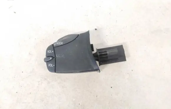 Multifunctional control switch/knob