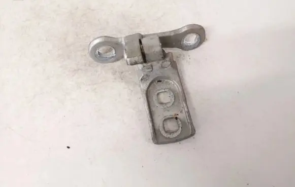 Rear door lower hinge