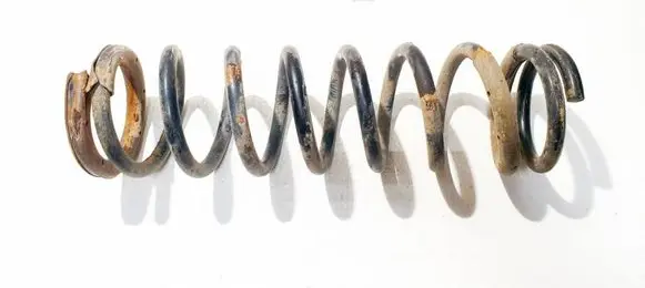 Rear coil spring