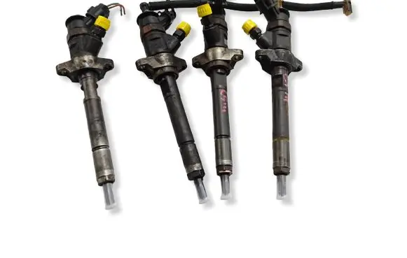Citroen C5 Fuel injector 0445110297