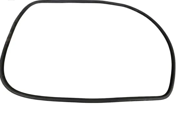 Volkswagen Golf Plus Front door rubber seal 