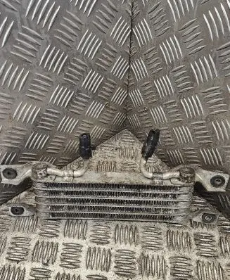 Opel Antara Engine oil radiator 