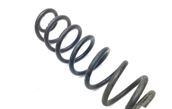 Toyota RAV 4 (XA50) Rear coil spring