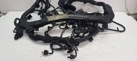 Engine installation wiring loom