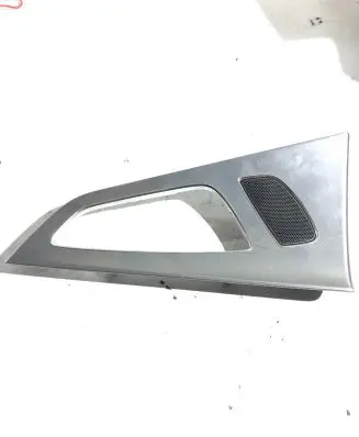 Other rear door trim element