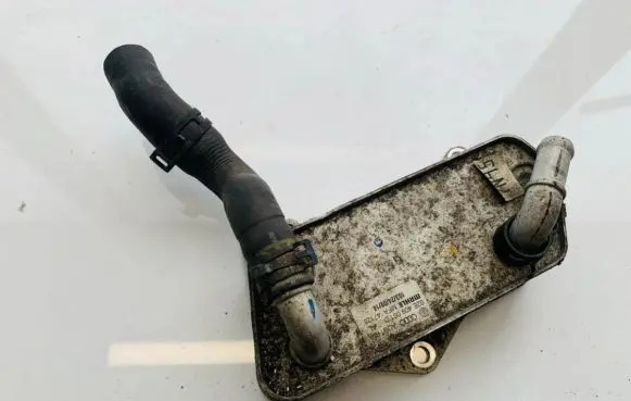 Volkswagen PASSAT B8 Engine oil radiator 02e409061d 103240914