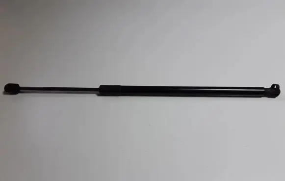 Tailgate strut